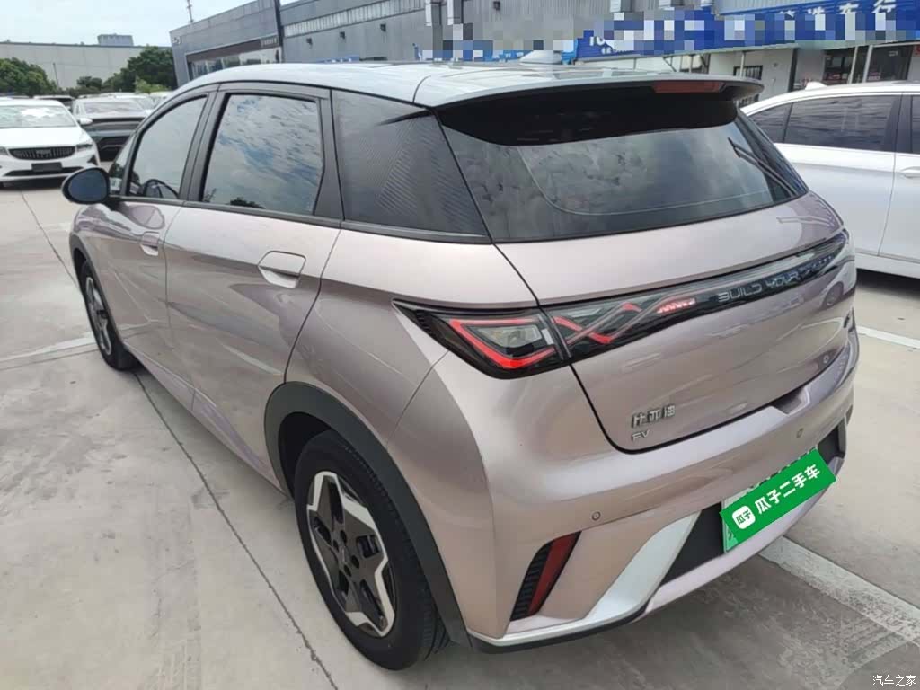 BYD Dolphin, 2022 все фото