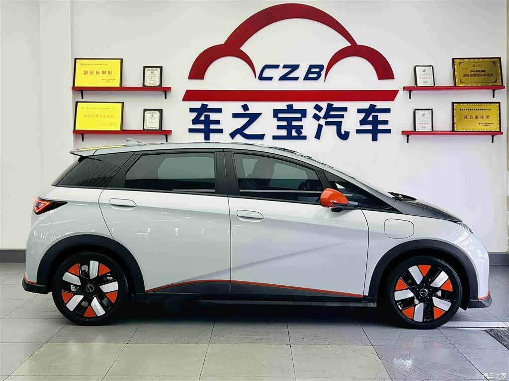 BYD Dolphin, 2023 8