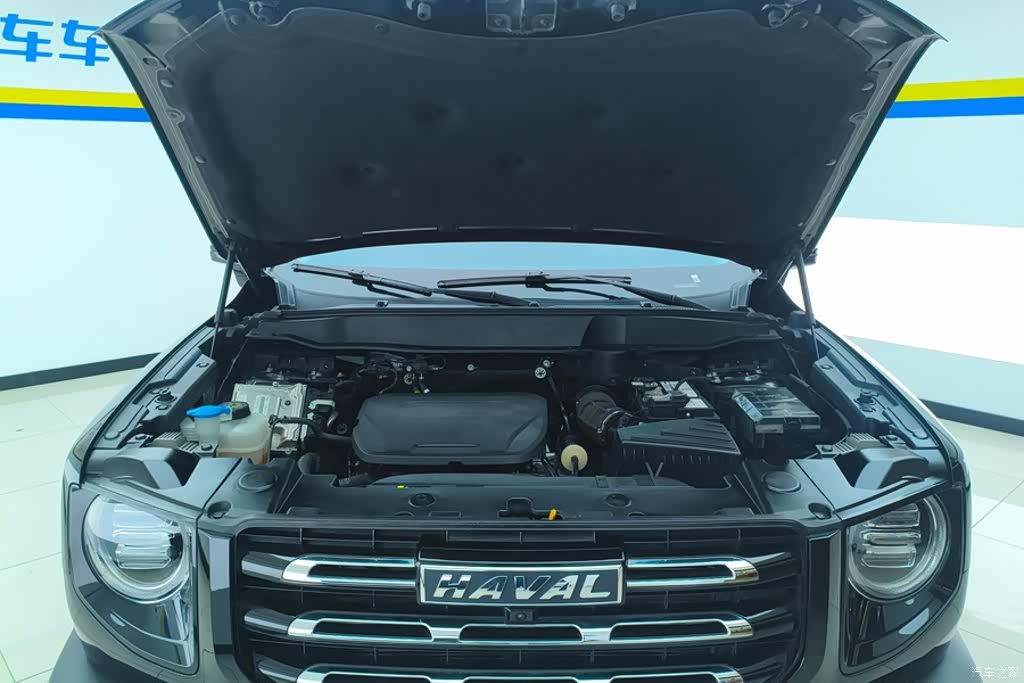 Haval Big Dog, 2023 10