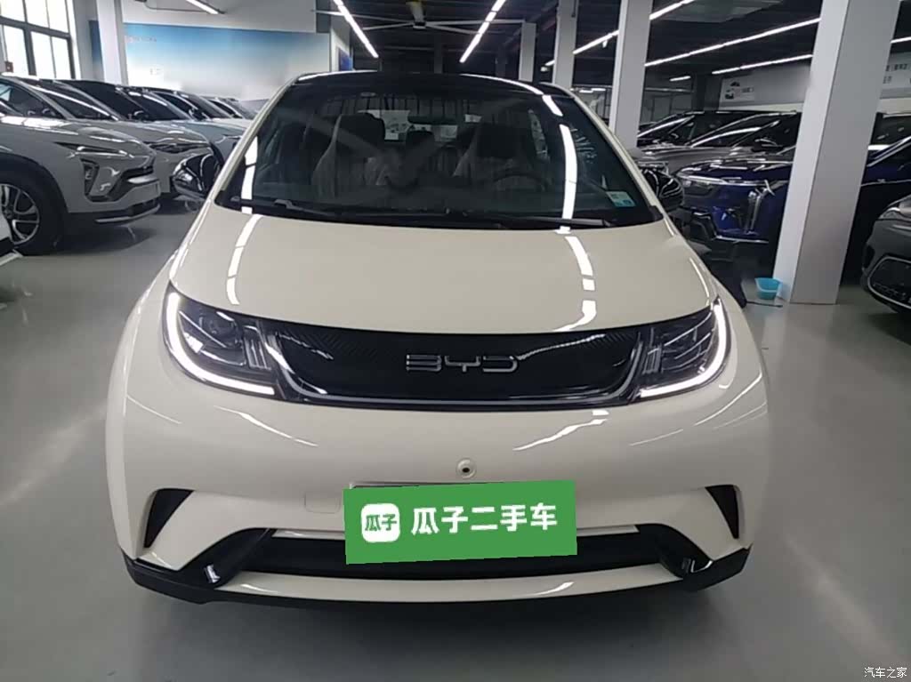 BYD Dolphin, 2022 3