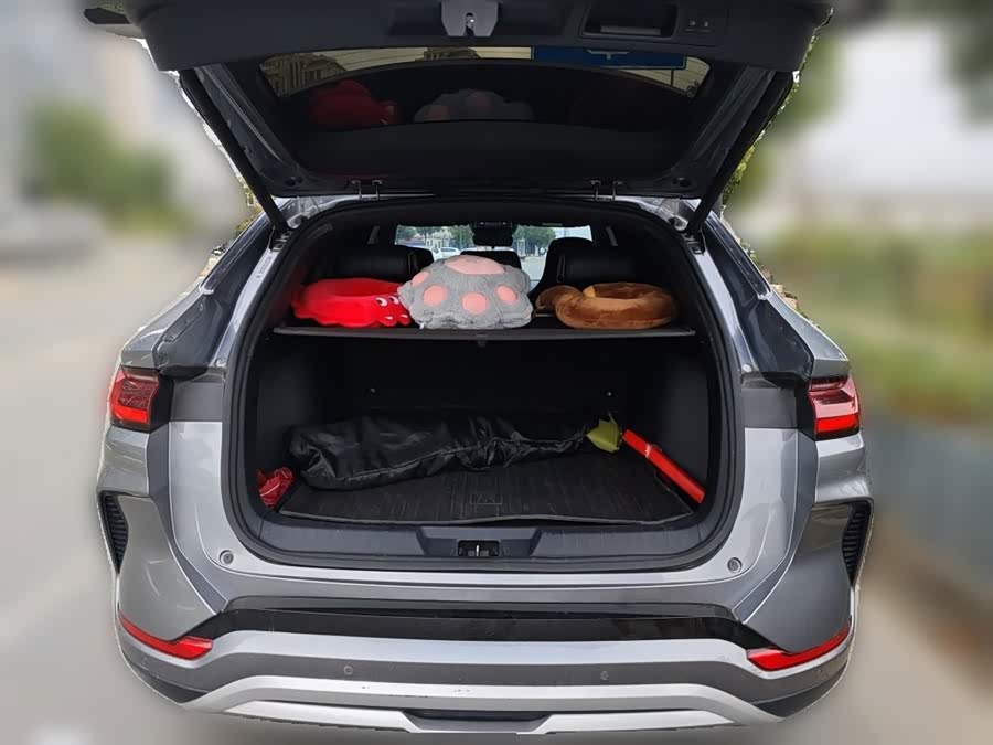 BYD Song PLUS New Energy 2024, фото 20