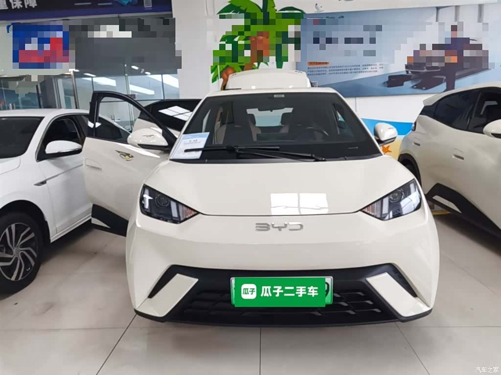 BYD Seagull, 2024 3