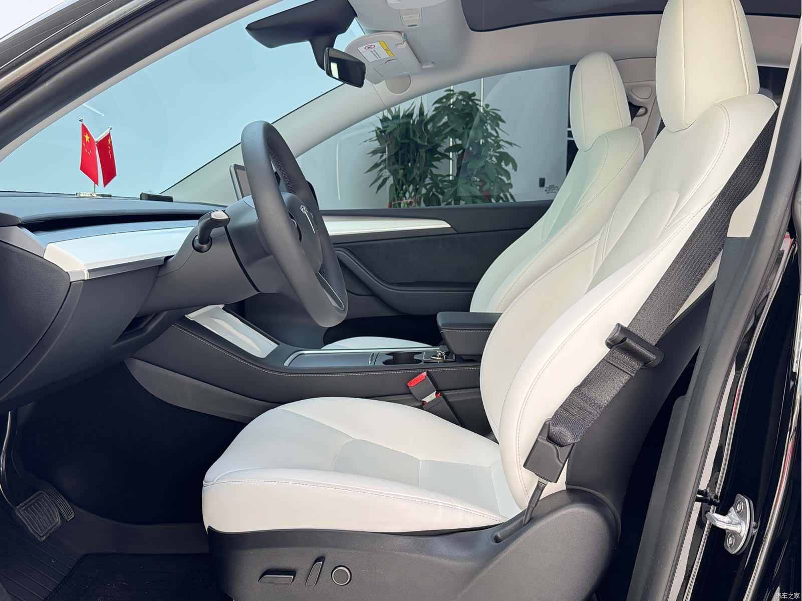 Tesla Model Y, 2023 все фото