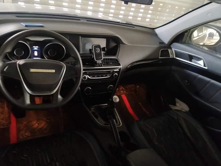 Leopaard Cheetah CS10