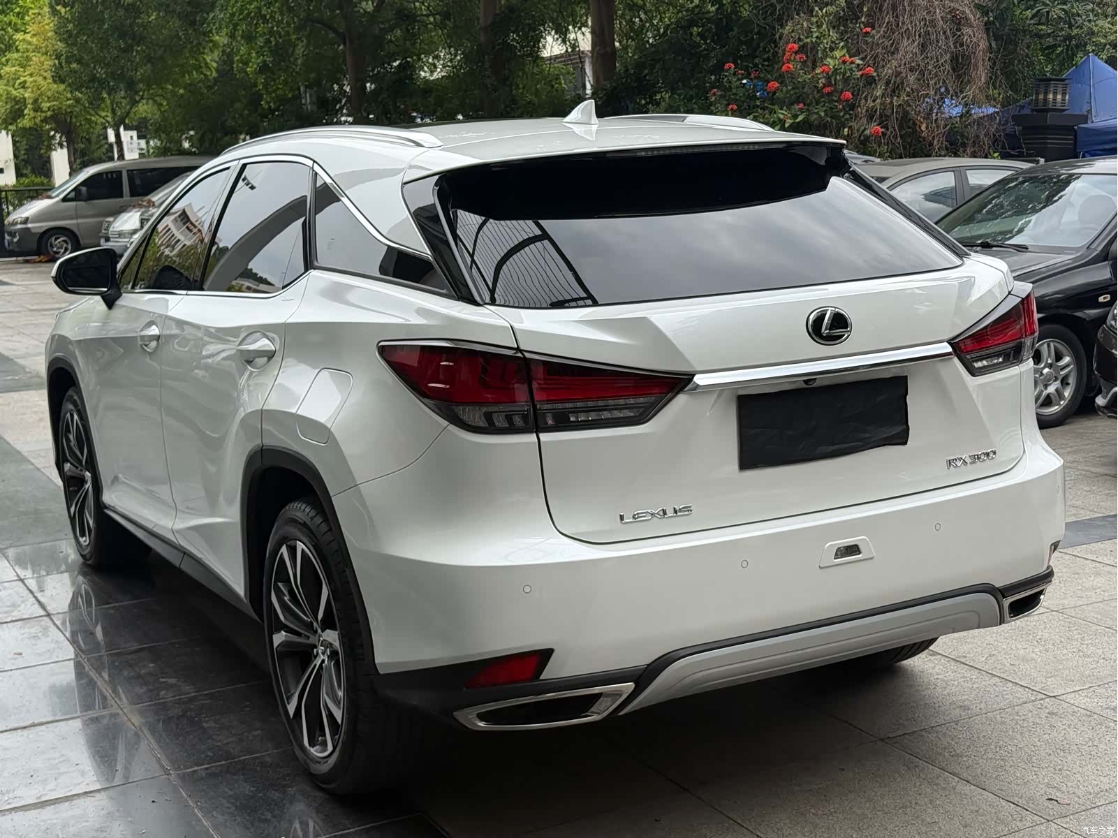 Lexus RX, 2025 7