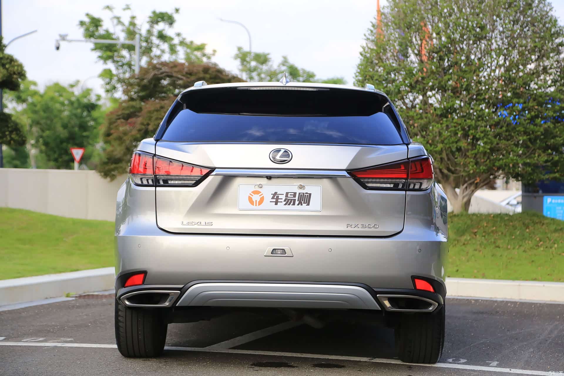 Lexus RX, 2019 20