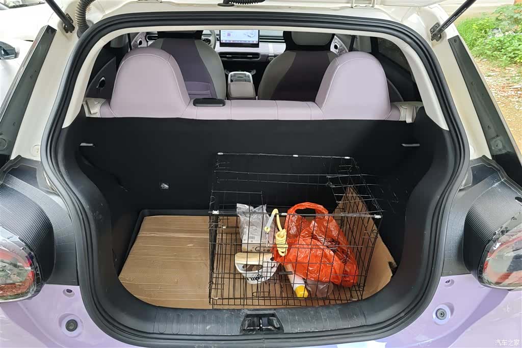DongFeng 01, 2024 4