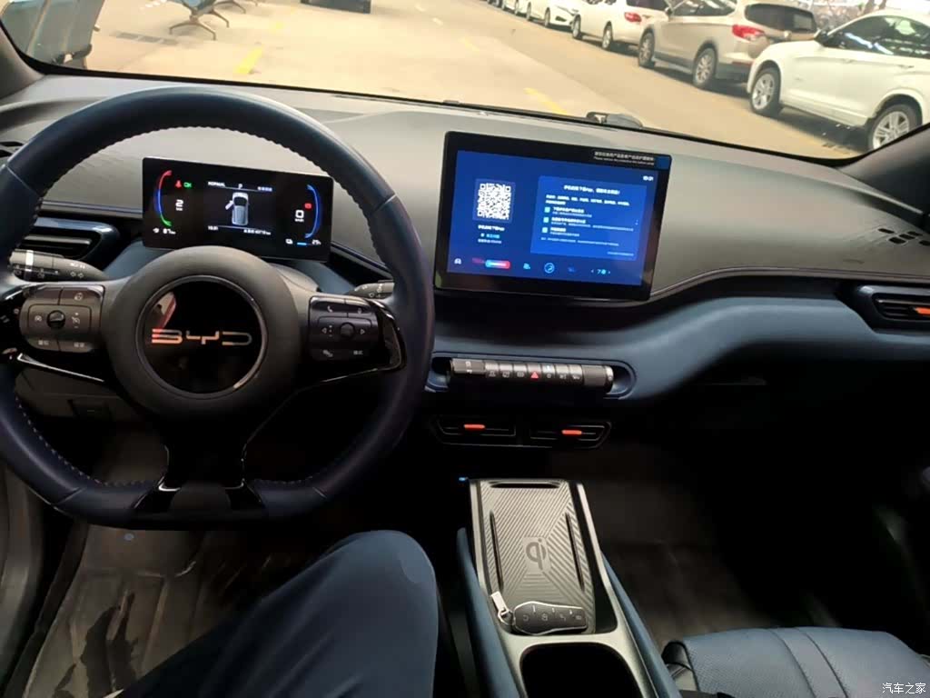 BYD Seagull, 2024 10