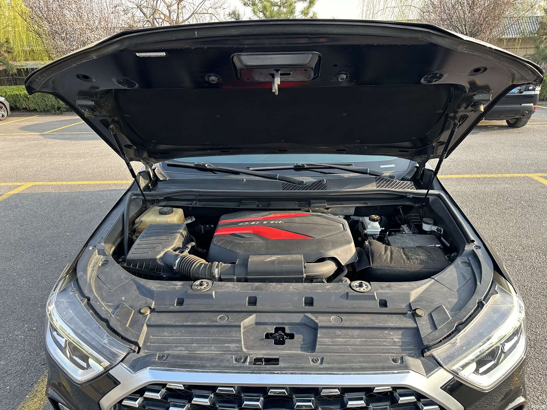Maxus D90, 2019 10