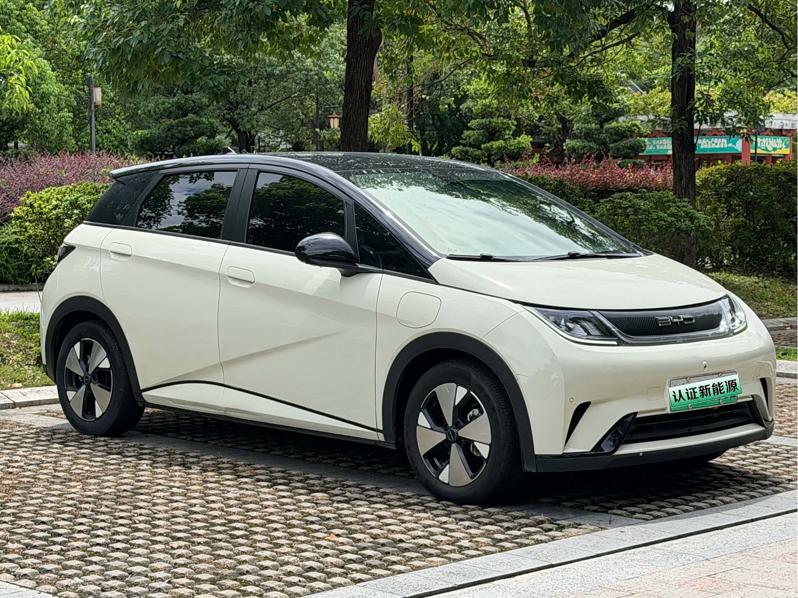 BYD Dolphin, 2024 3