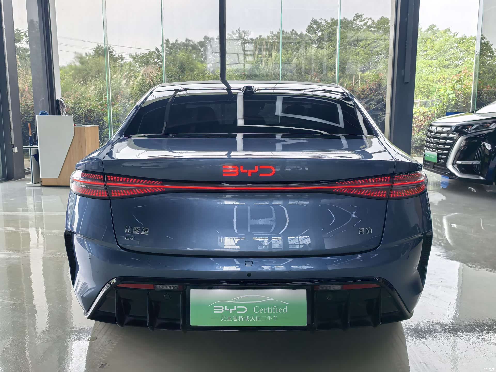 BYD Seal, 2024 12