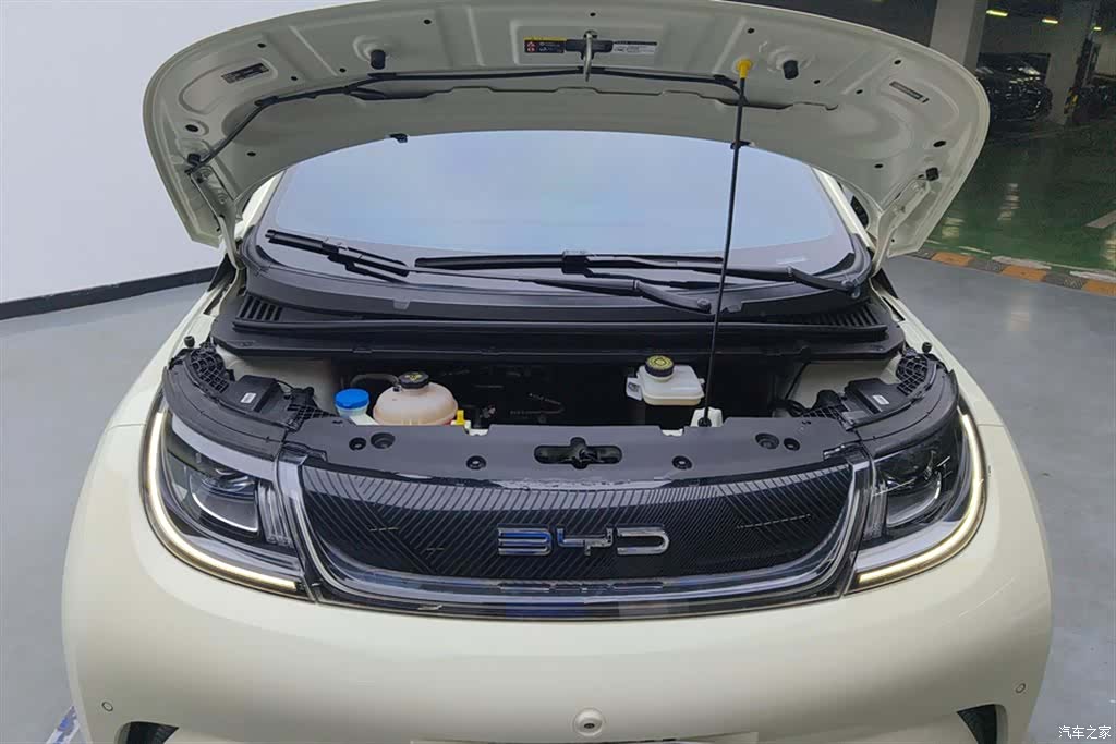 BYD Dolphin, 2023 10