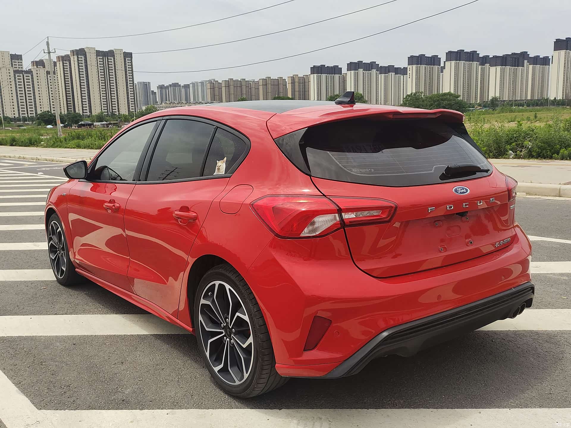 Ford Focus, 2021 10