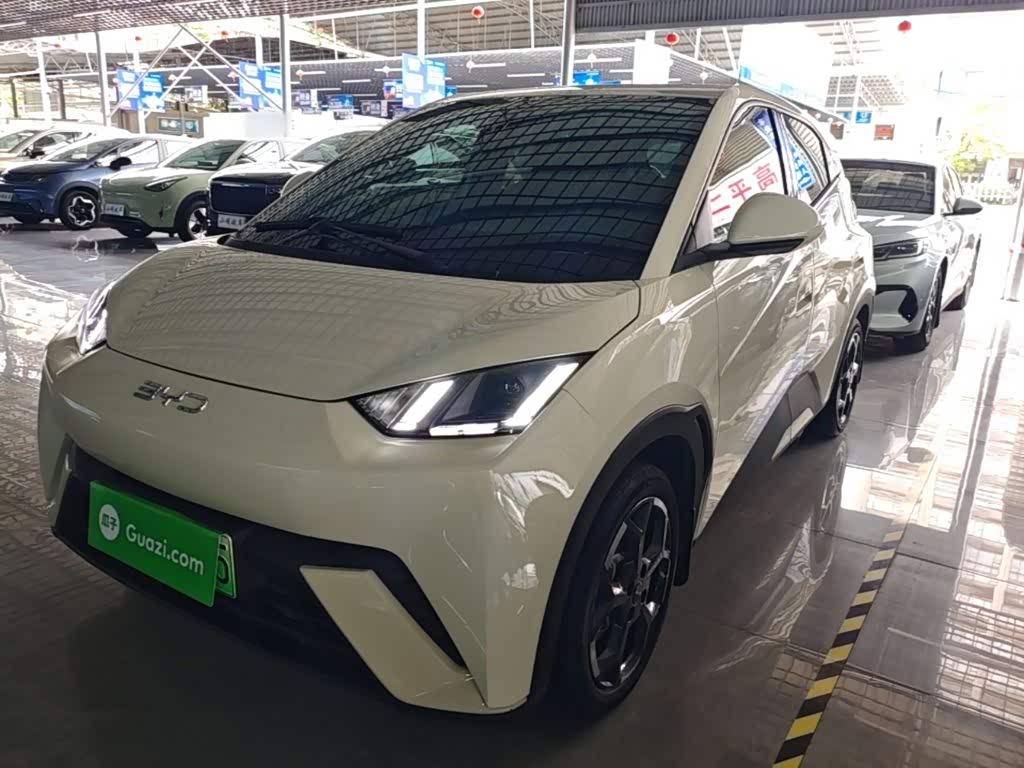 BYD Seagull