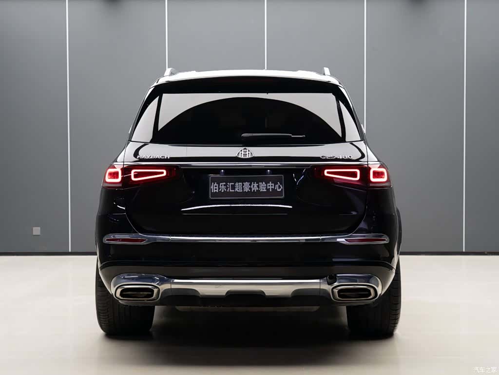 Maybach GLS, 2022 все фото