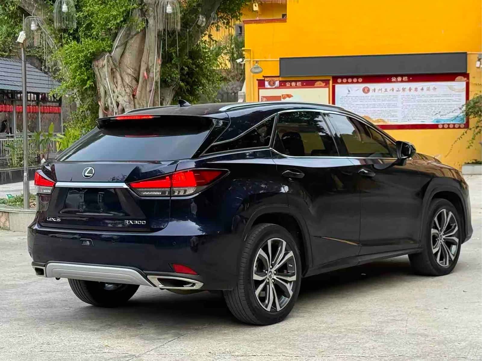 Lexus RX, 2022 9