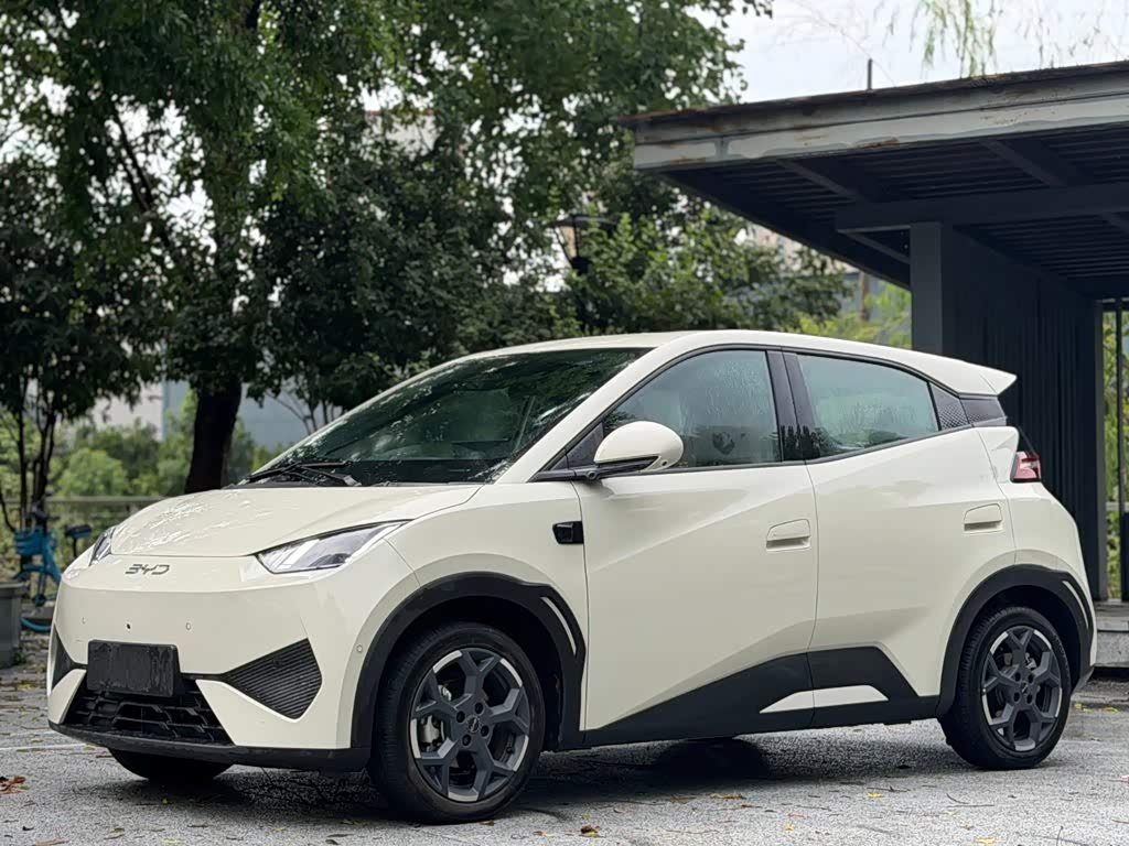 BYD Seagull
