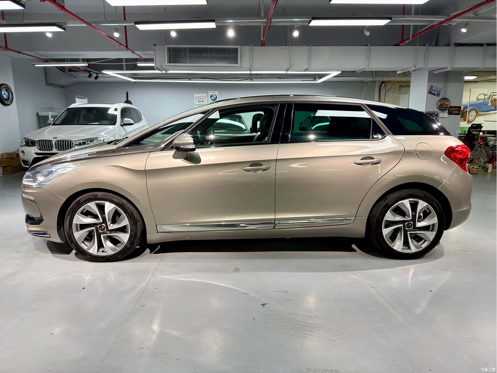 DS 5, 2014 4