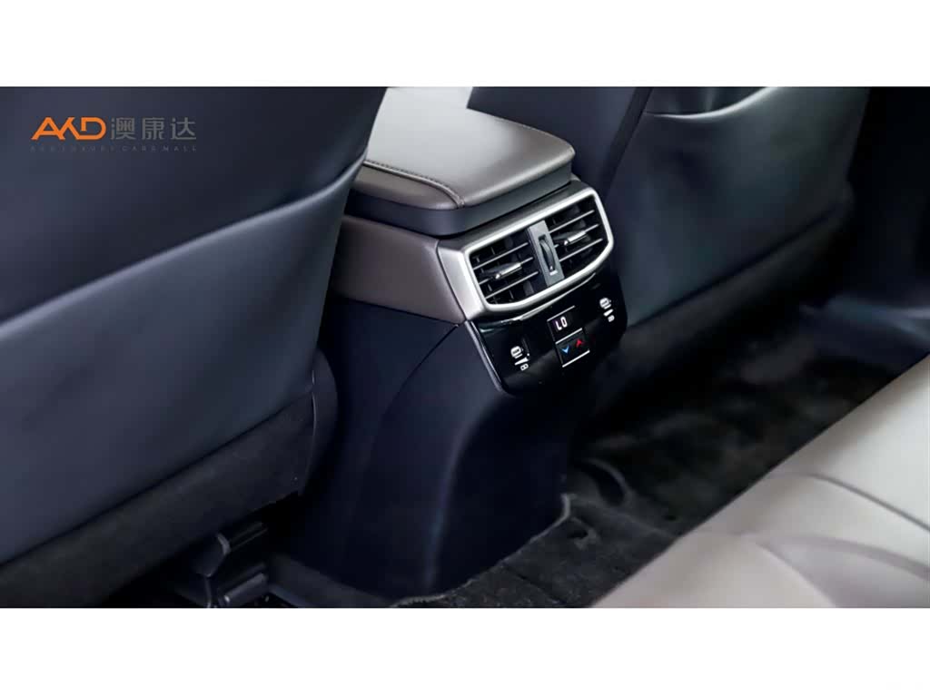 Lexus RX, 2023 9