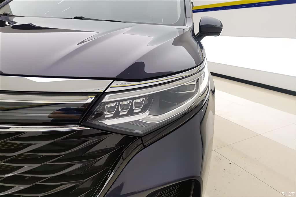 Roewe iMAX8, 2021 все фото