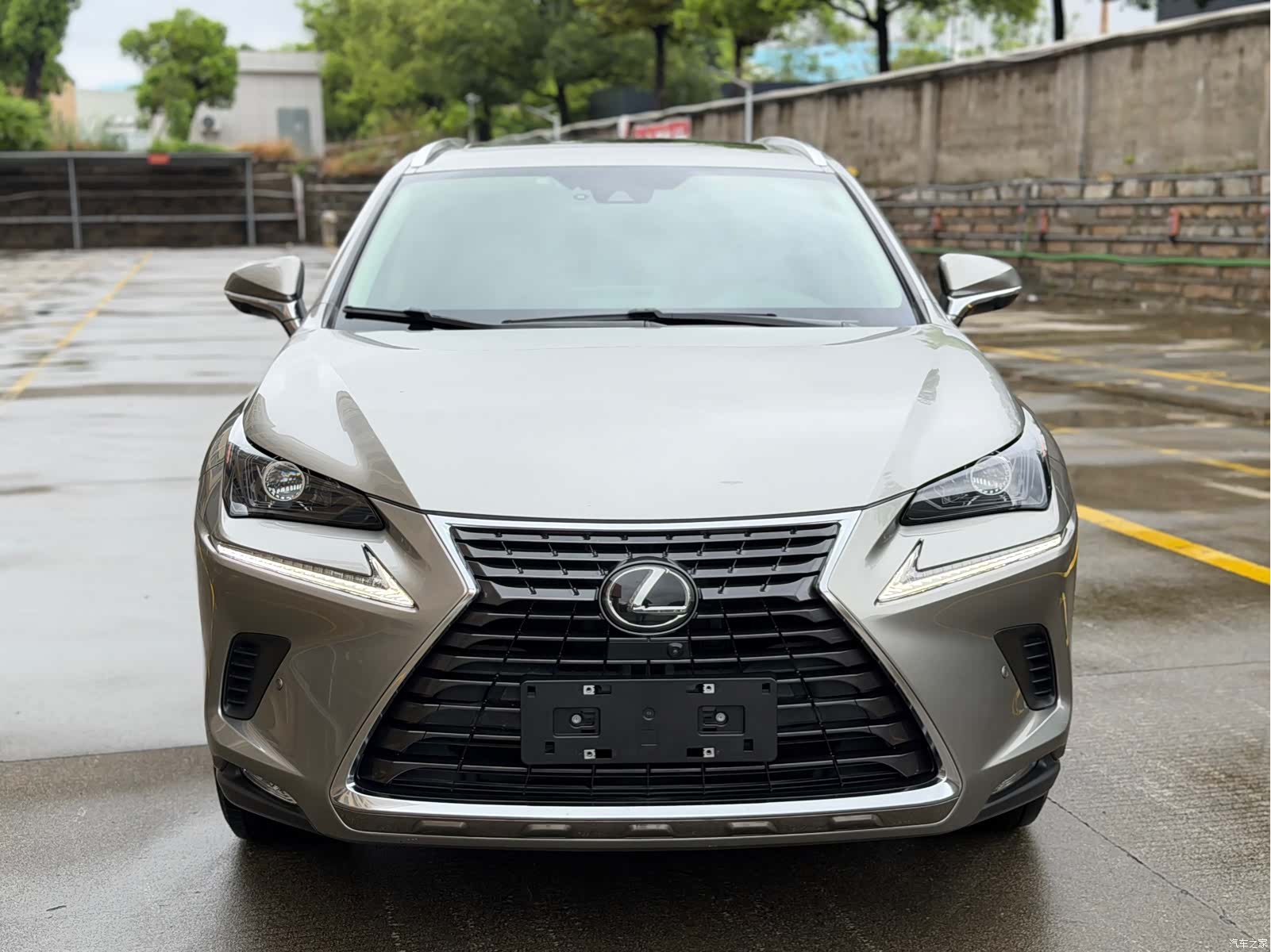 Lexus NX, 2021 2