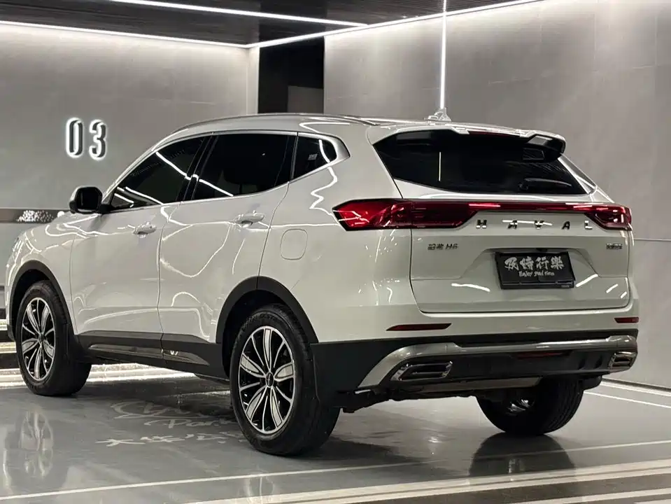 Haval H6