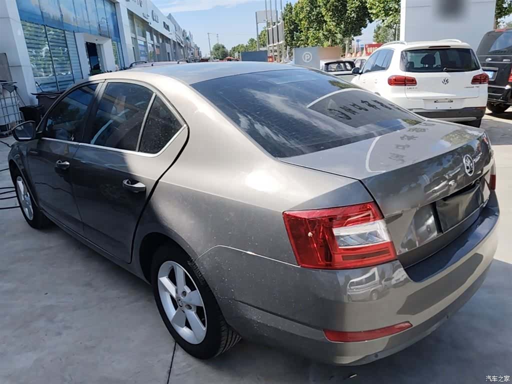 Skoda Octavia, 2014 все фото