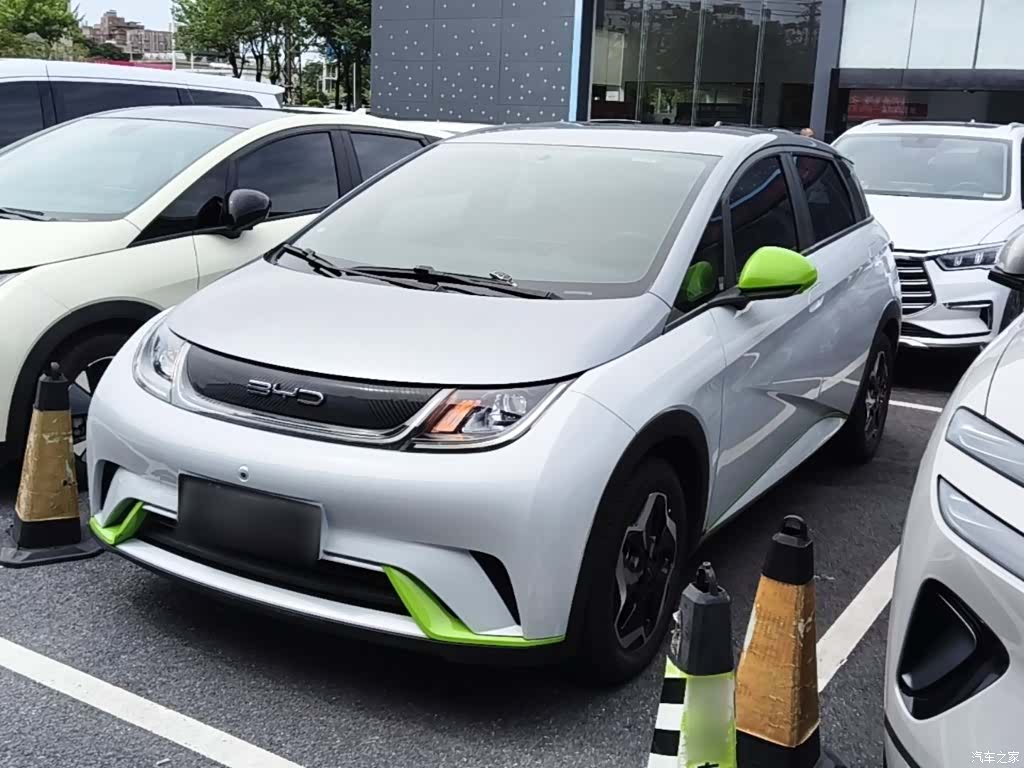 BYD Dolphin, 2022 2