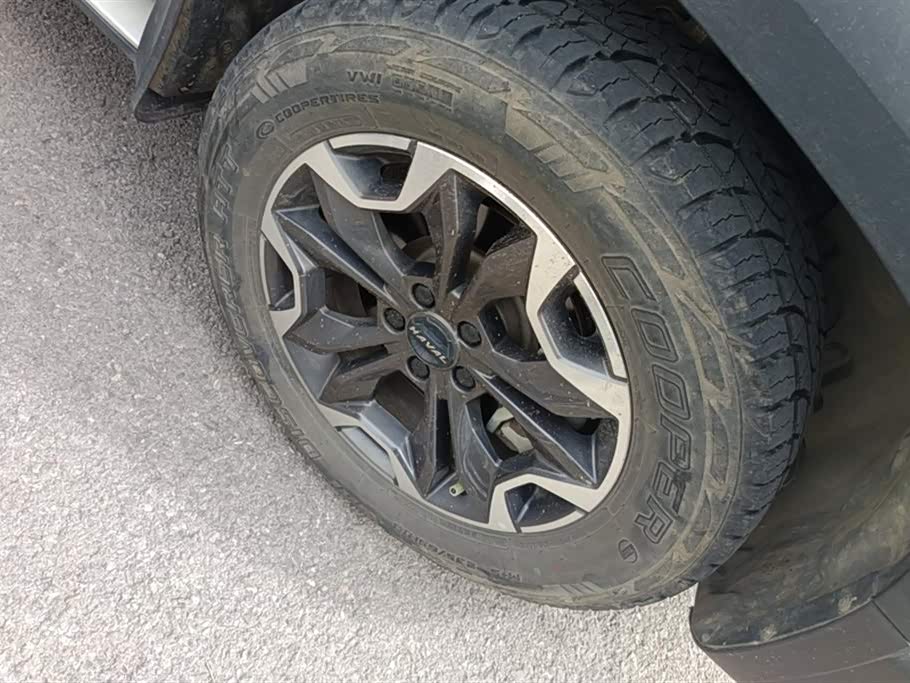 Haval Big dog Haval Big dog