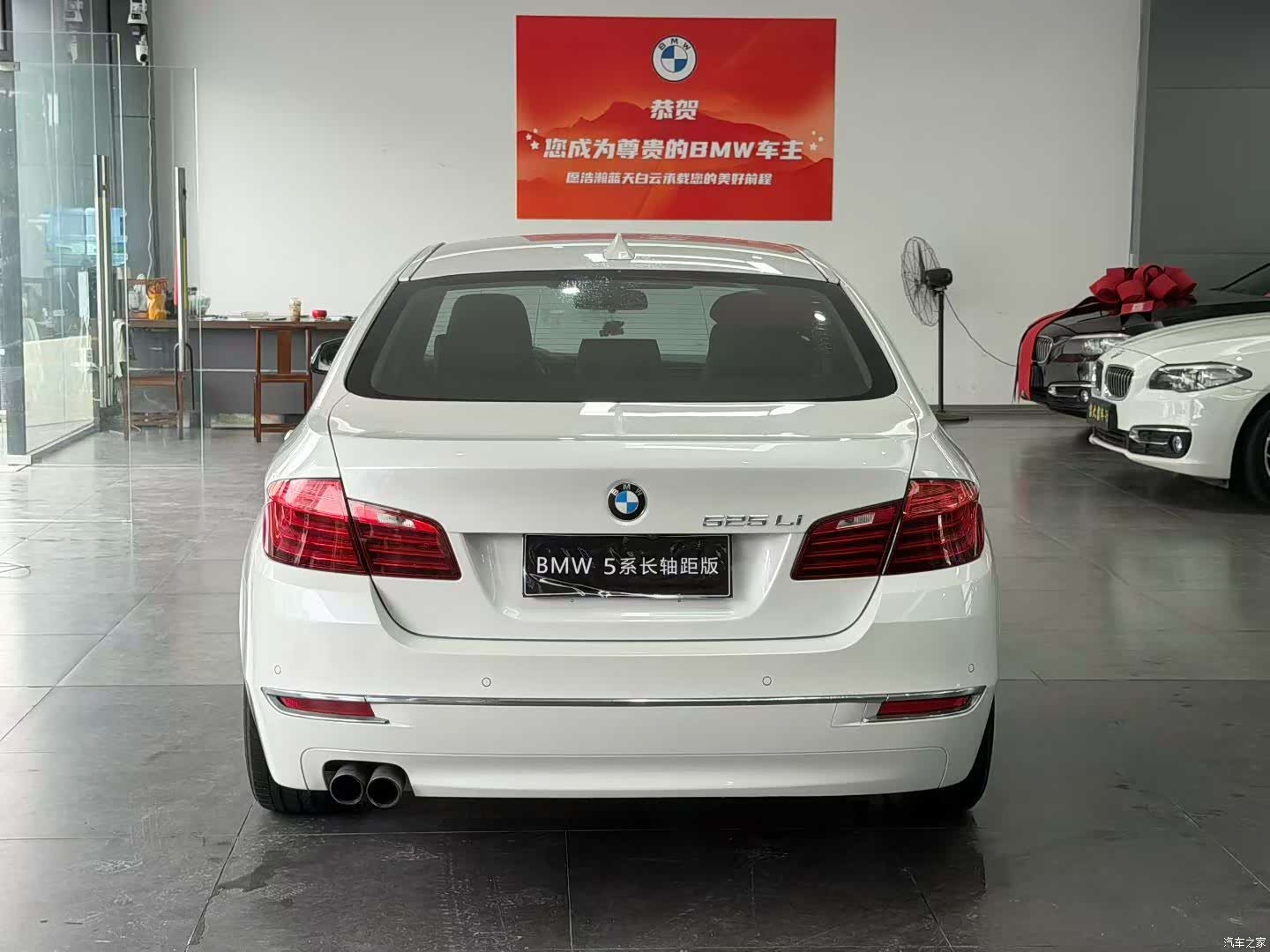 BMW 5 Series, 2017 9