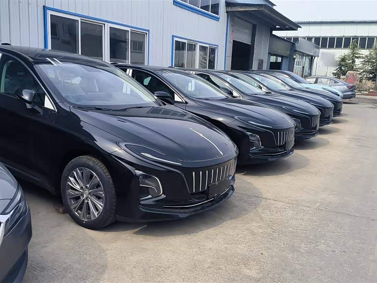 Hongqi E-QM5