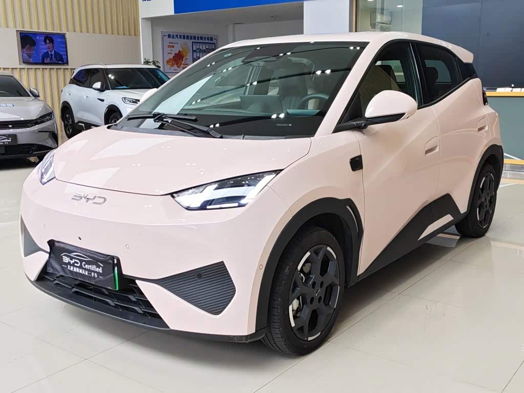 BYD Seagull
