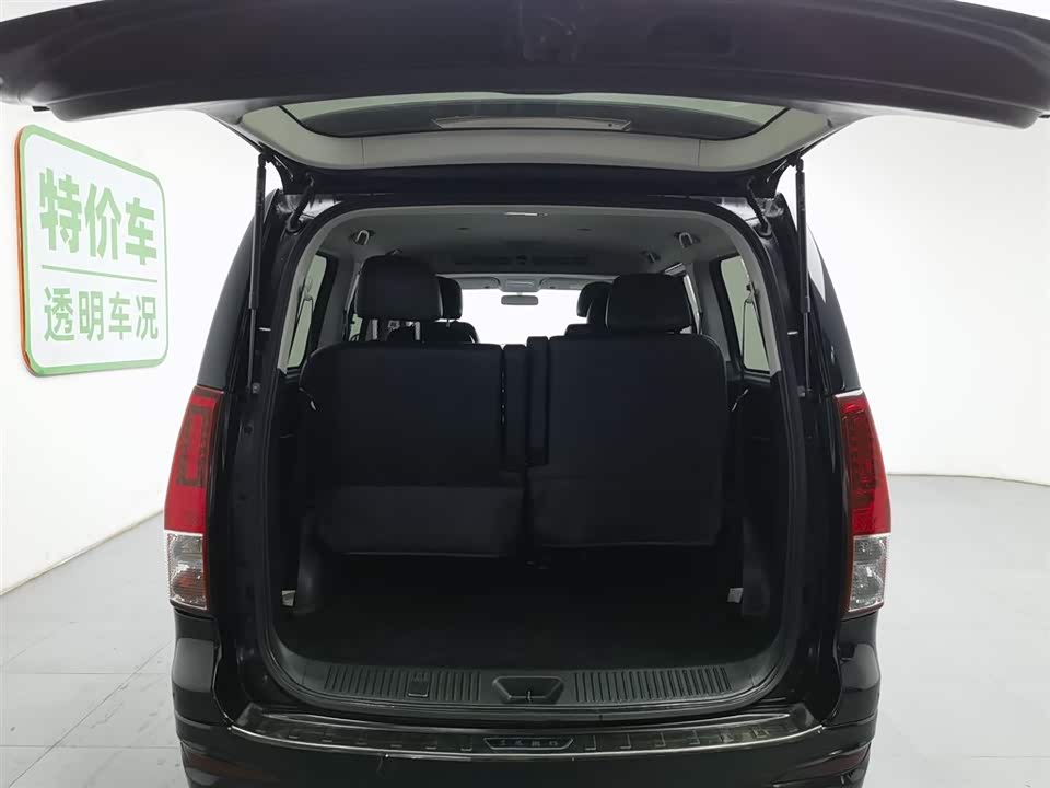 Forthing Lingzhi PLUS