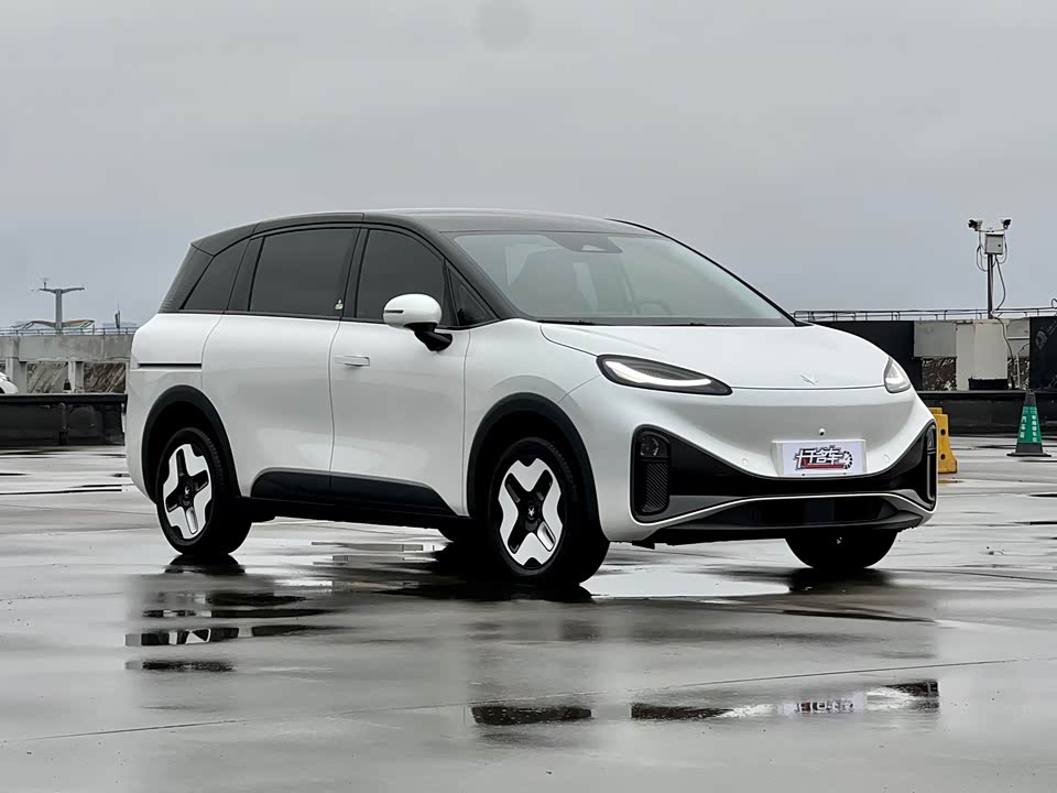 ARCFOX Polar fox koala