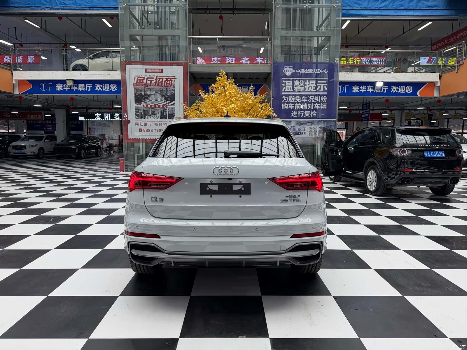 Audi Q3, 2023 все фото