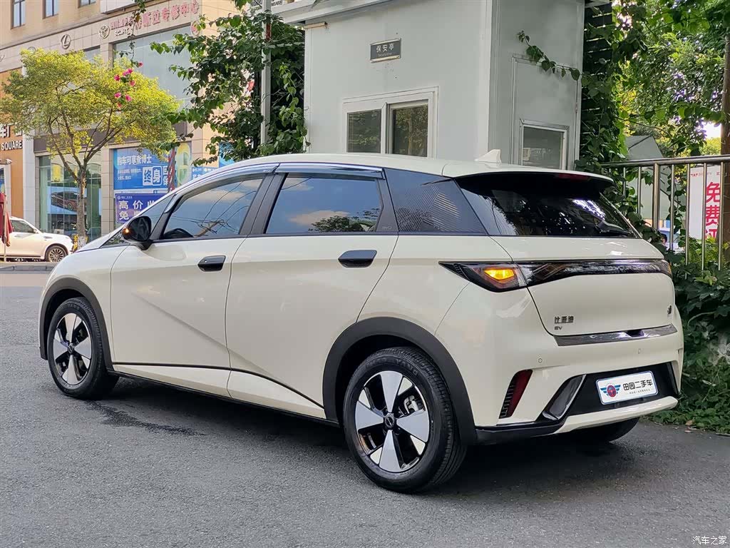BYD Dolphin, 2024 4