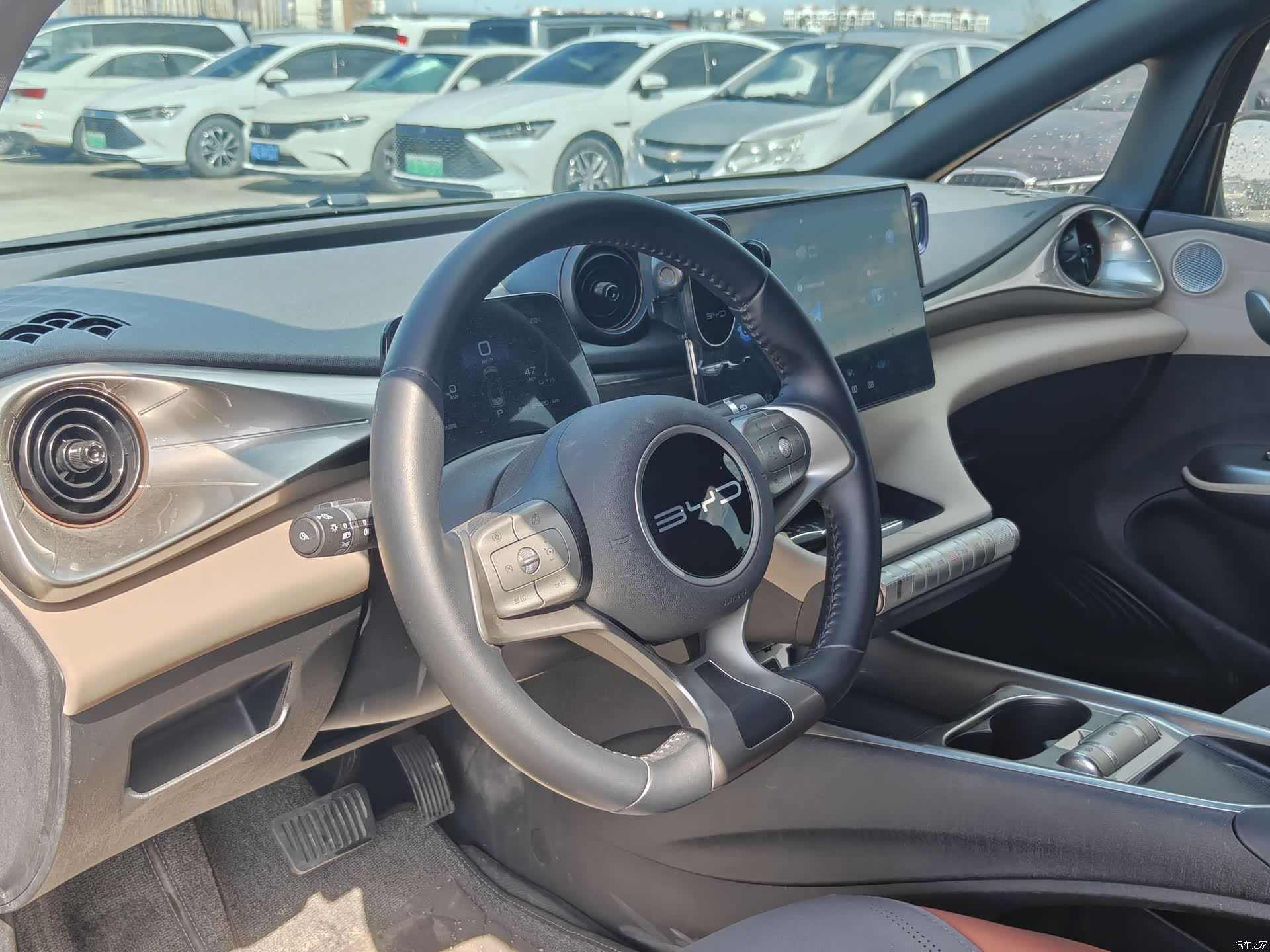 BYD Dolphin, 2024 14