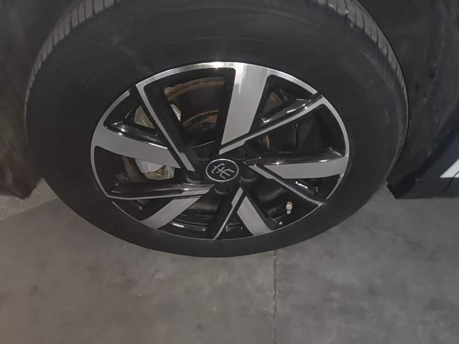 BYD Song Pro New Energy 2024, фото 23