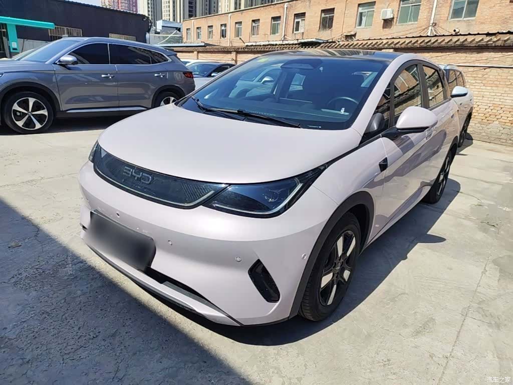 BYD Dolphin, 2025 1