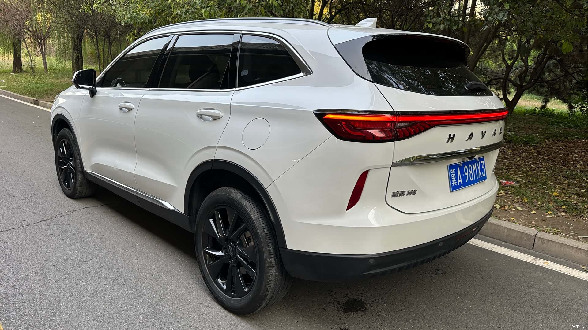 Haval H6, 2022 все фото