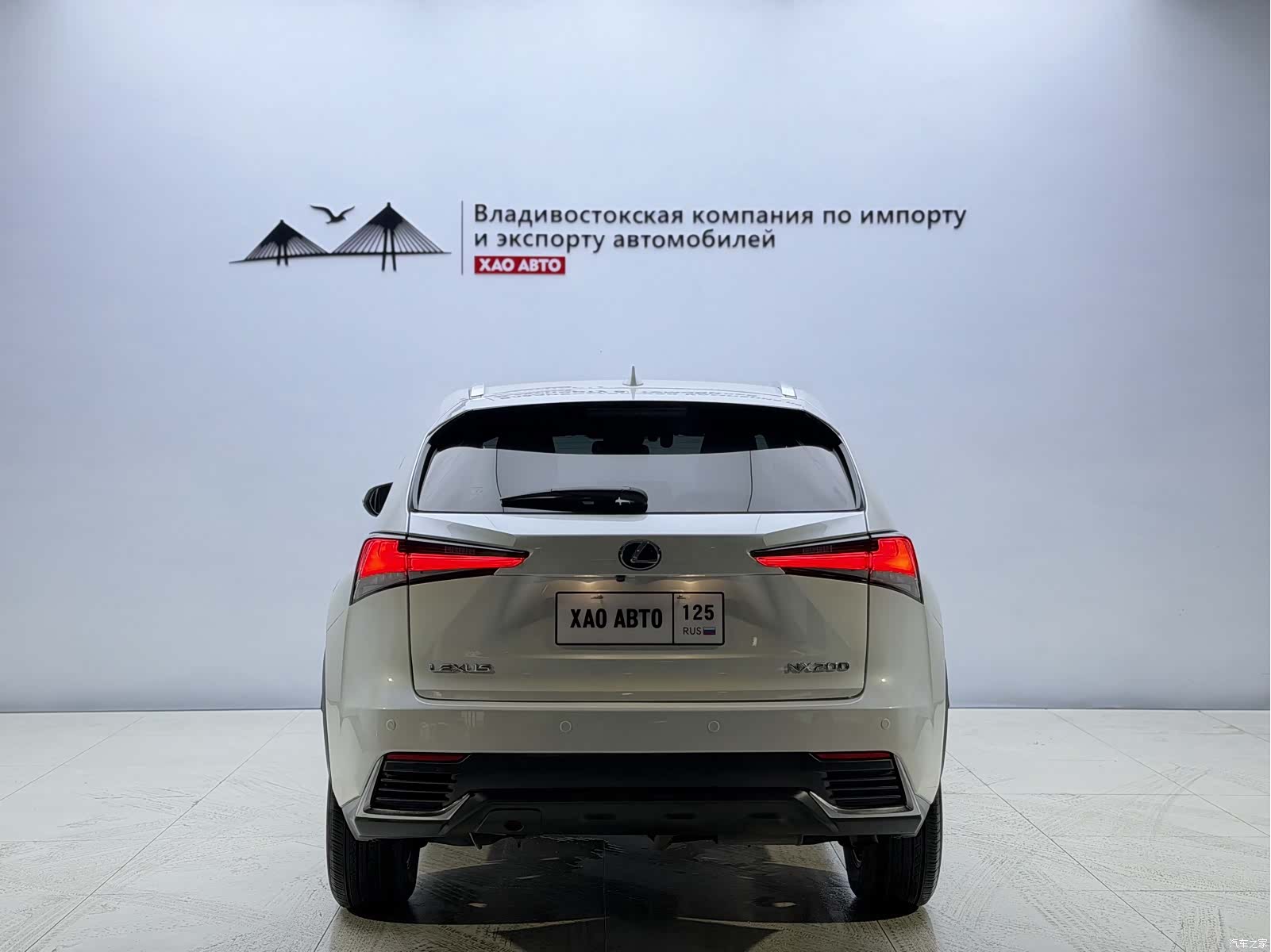 Lexus NX, 2019 все фото