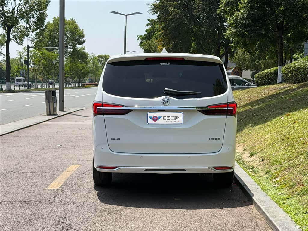 Buick GL8, 2023 все фото