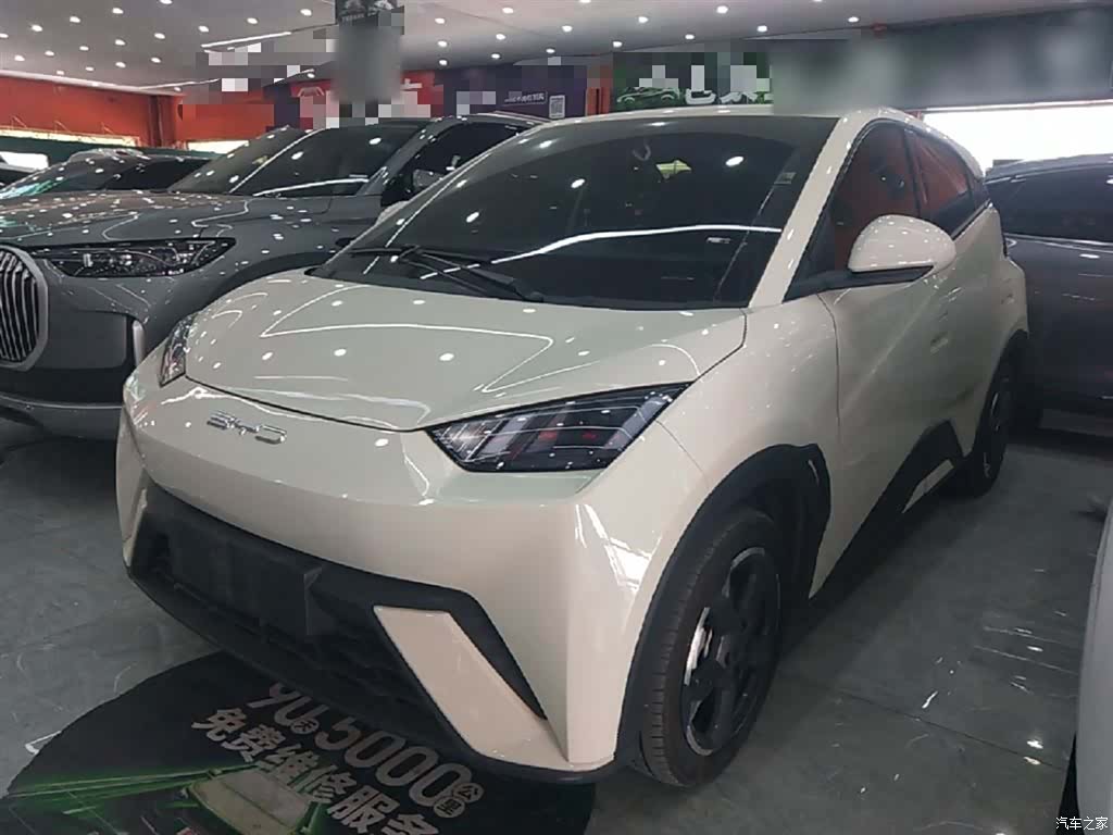 BYD Seagull, 2023 2