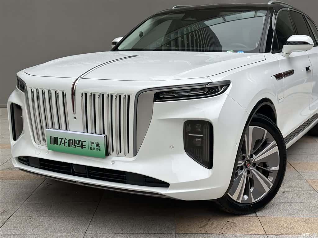 Hongqi E-HS9, 2023 21