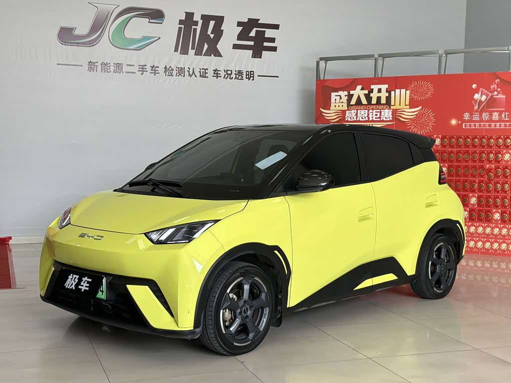 BYD Seagull