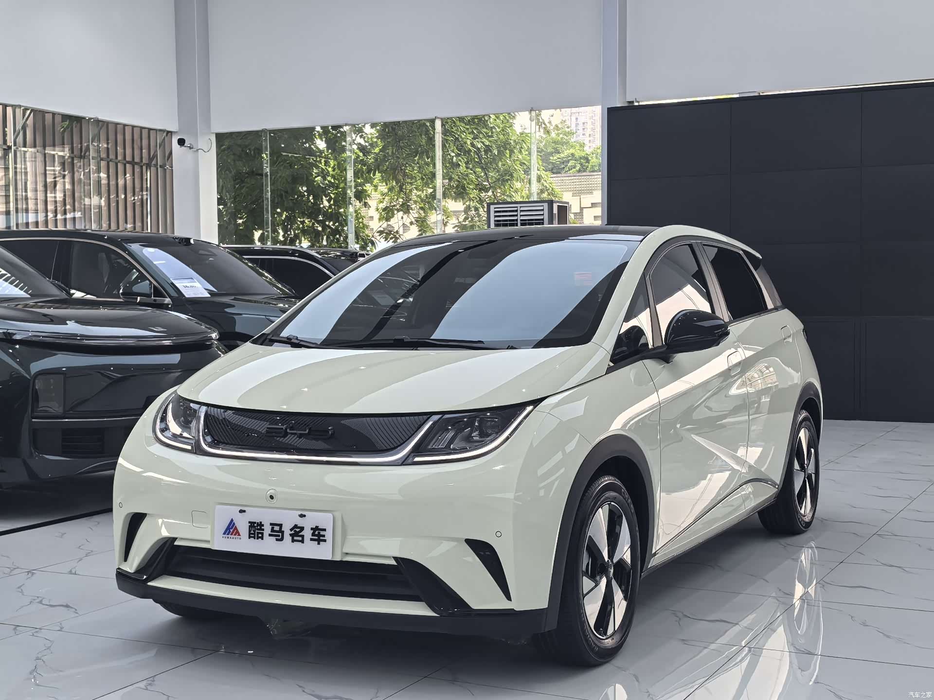 BYD Dolphin