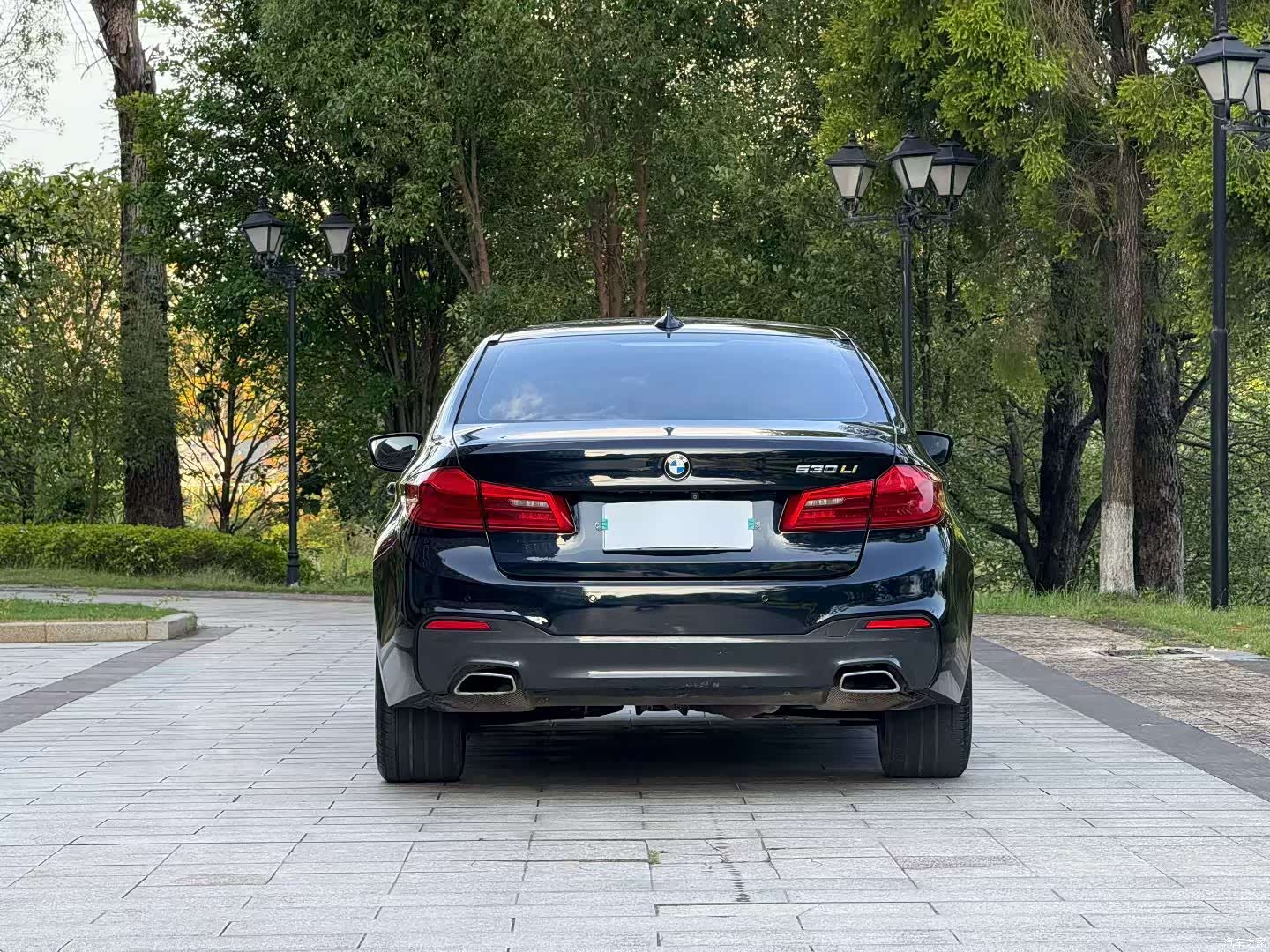 BMW 5 Series, 2017 9