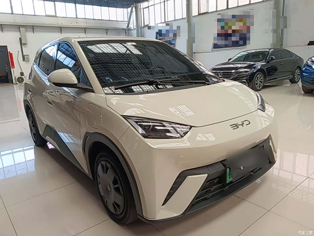 BYD Seagull, 2024 4