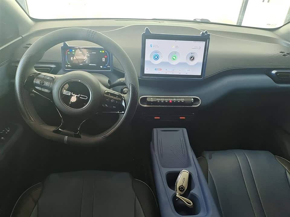 BYD Seagull