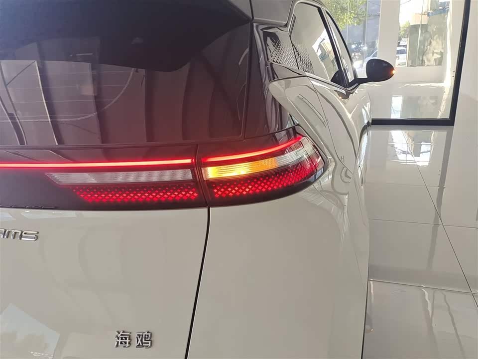 BYD Seagull